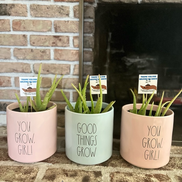 Rae Dunn 8” planter “ Good things grow” NWT - Picture 3 of 6